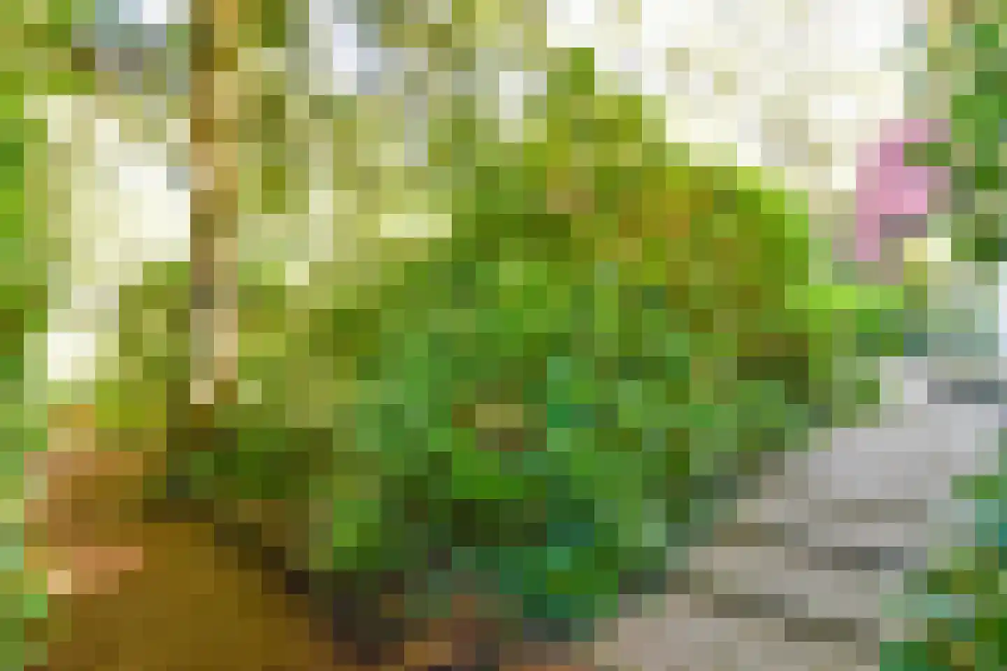 Vredelaan 76 Laren thumbnail 67
