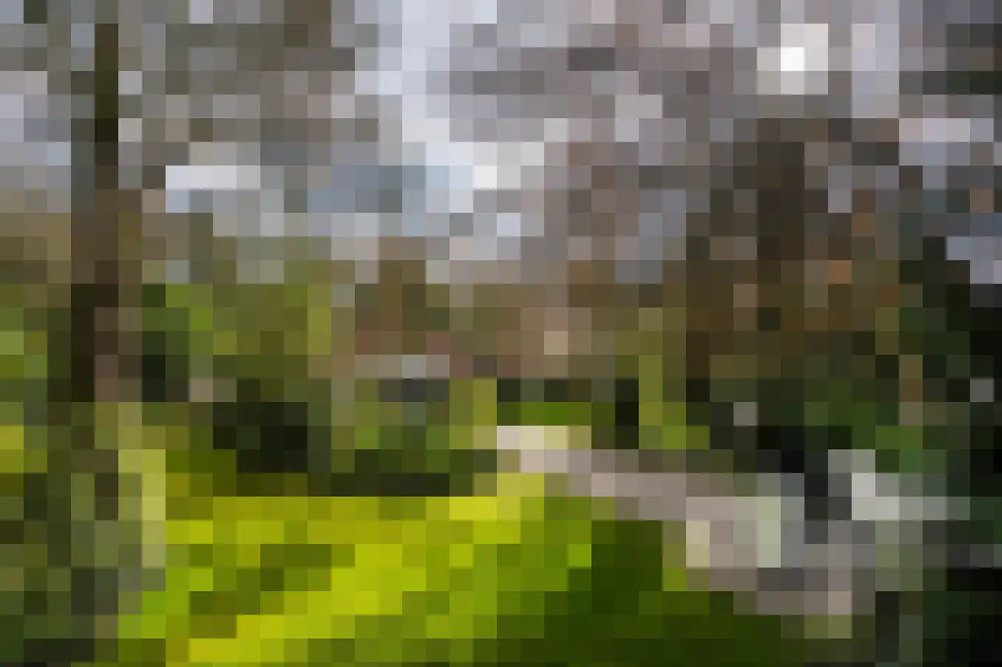 Vredelaan 76 Laren thumbnail 8