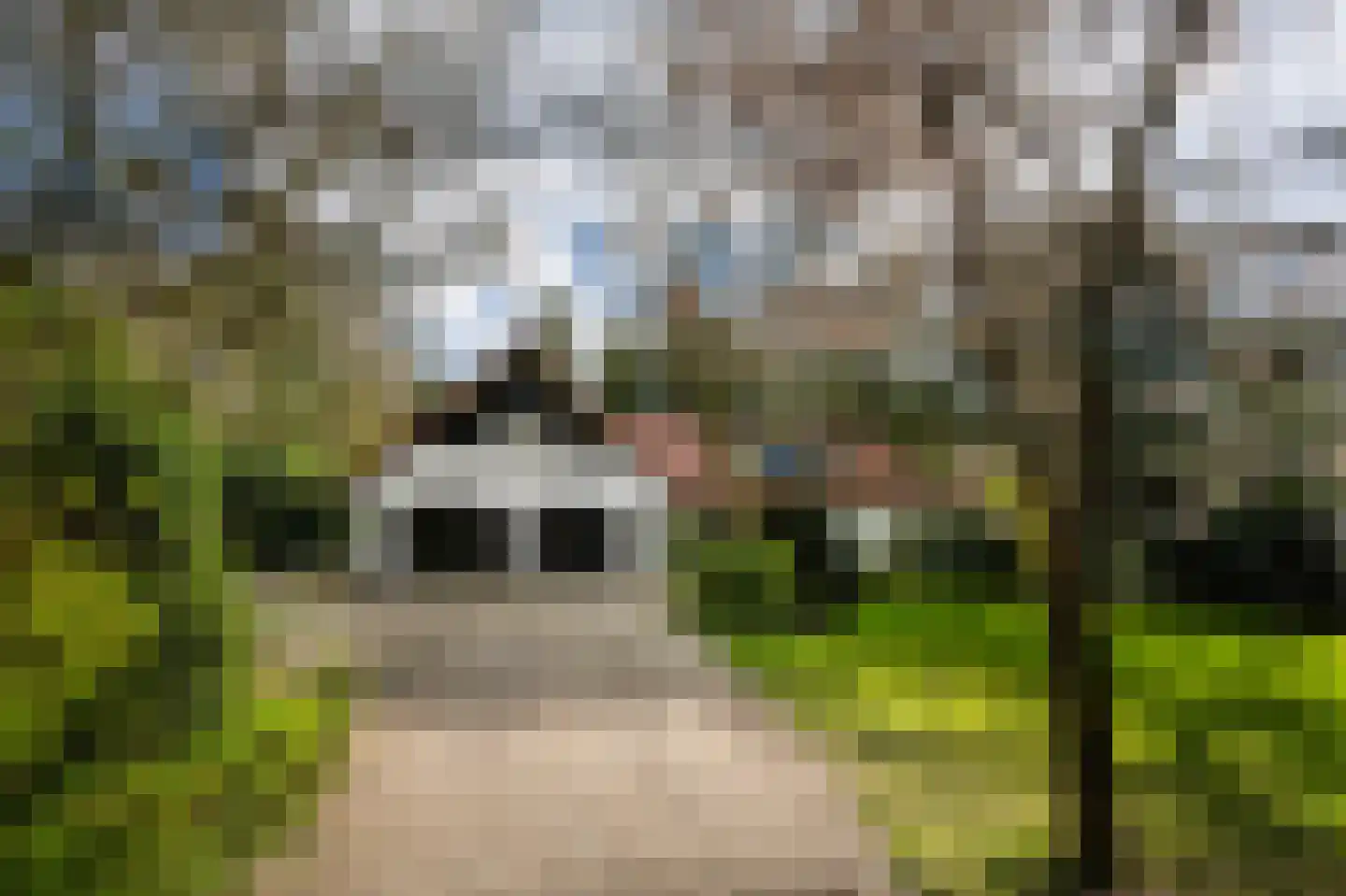 Vredelaan 76 Laren thumbnail 9