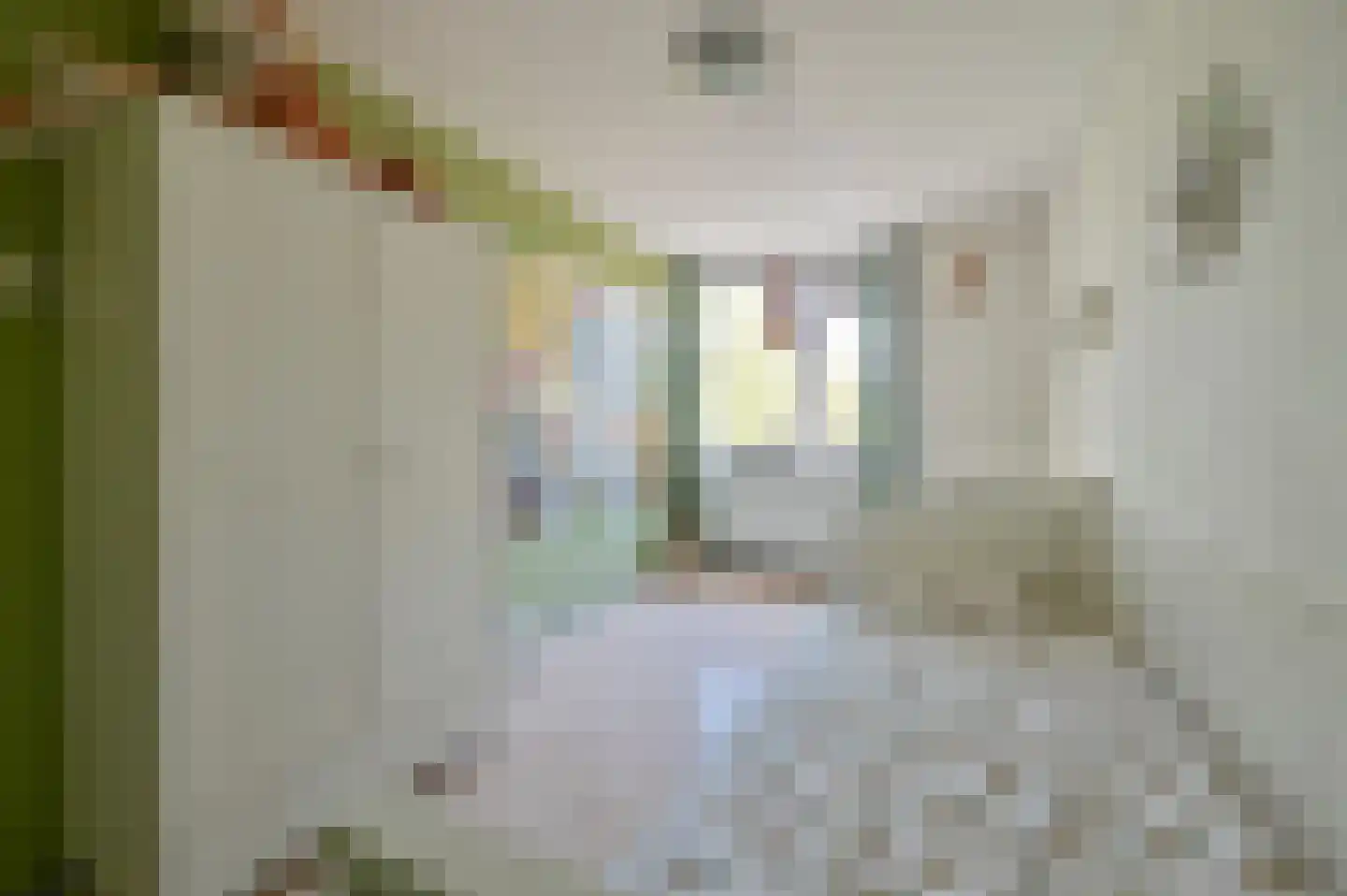 Vredelantstraat 3 Vreeland thumbnail 12