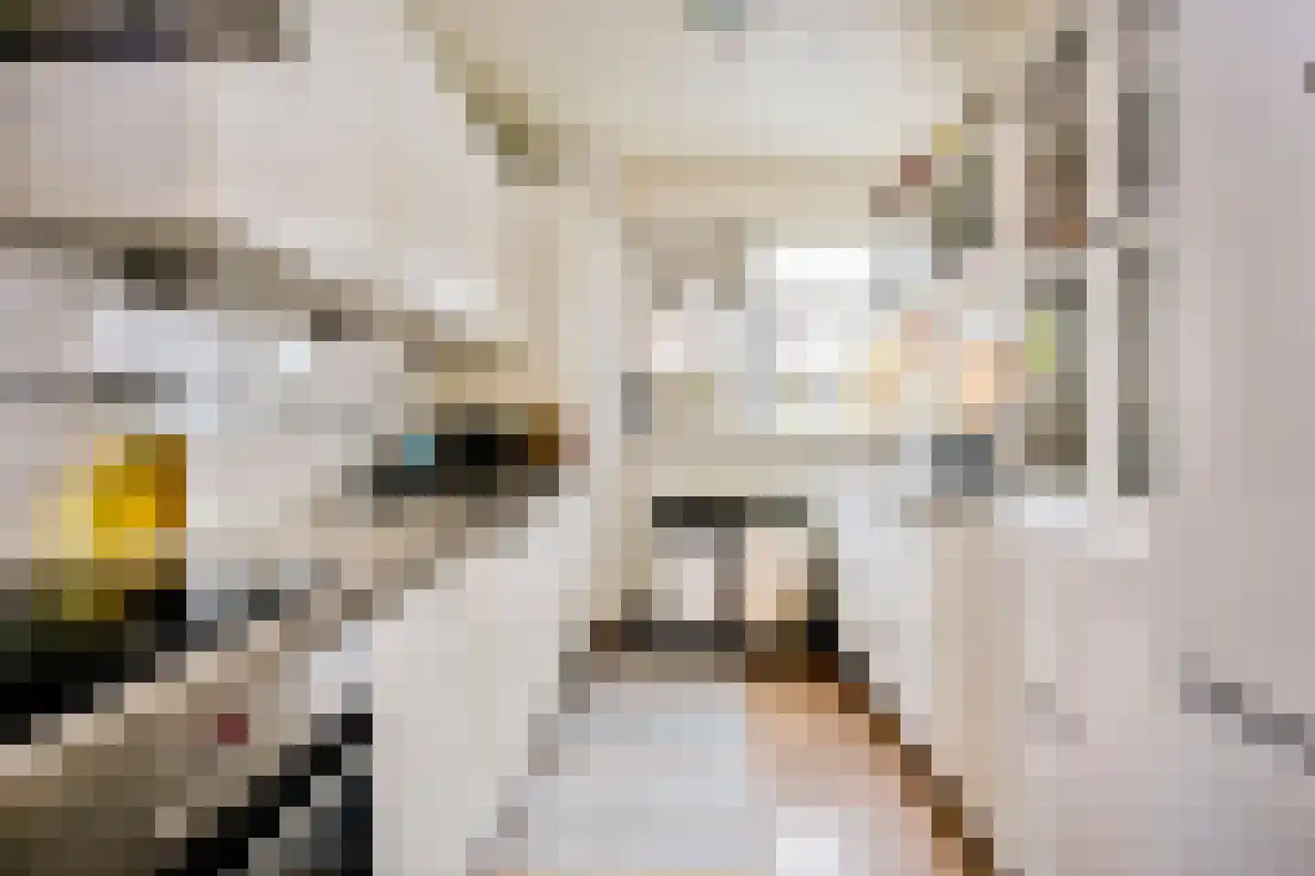 Vredelantstraat 31 Vreeland thumbnail 14