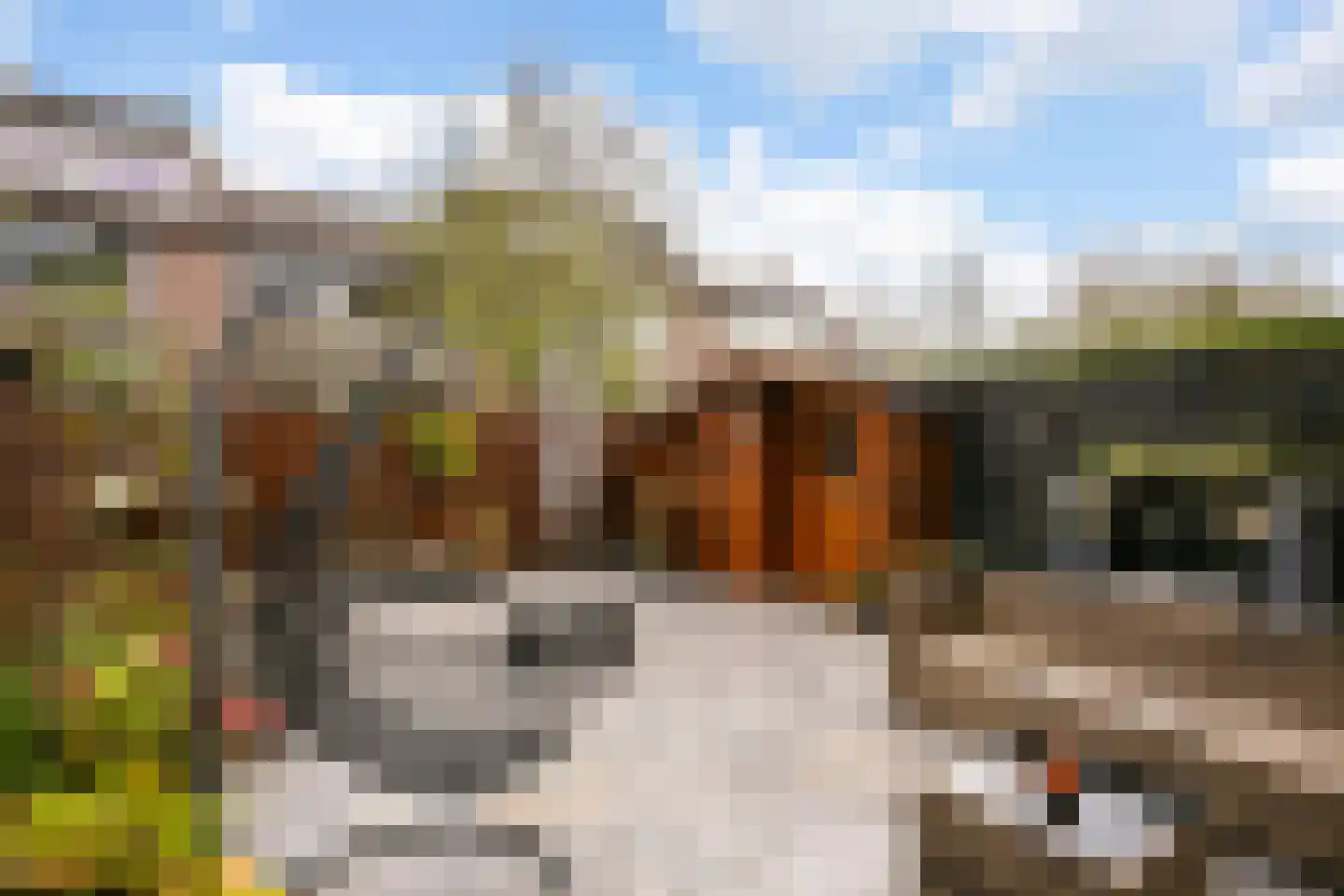 Vredelantstraat 31 Vreeland thumbnail 25