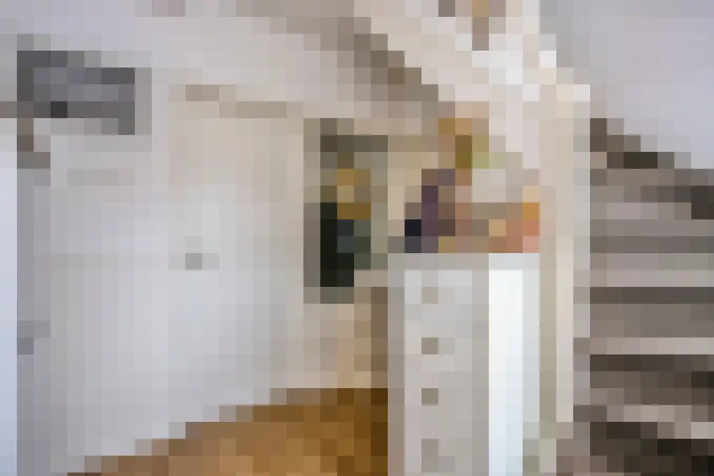 Vredelantstraat 31 Vreeland thumbnail 6