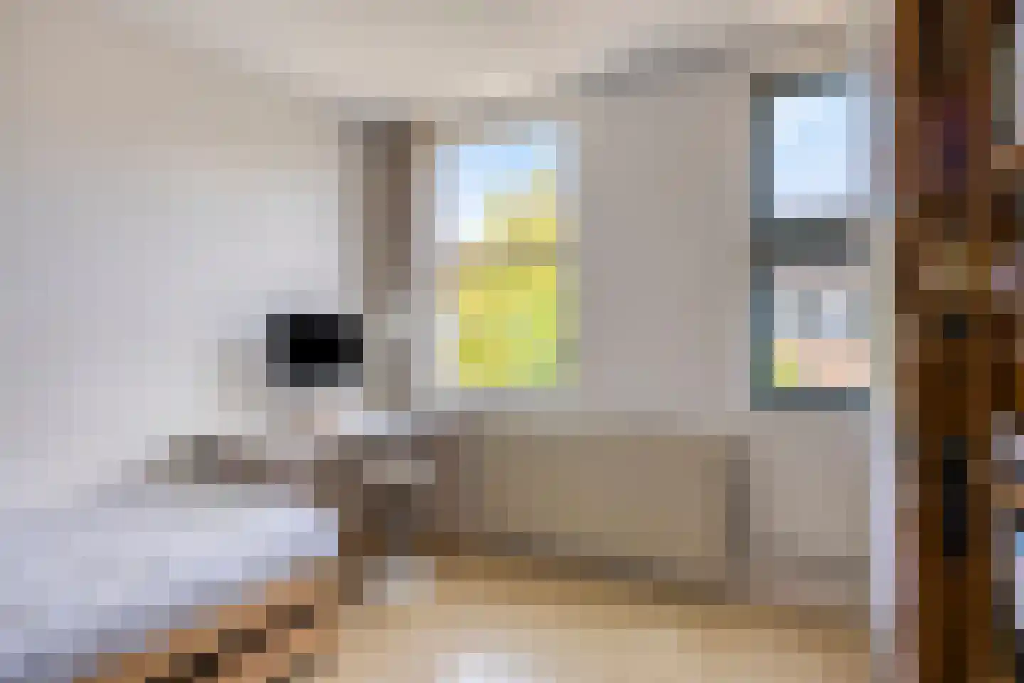 Vredelust 11 Diemen thumbnail 14