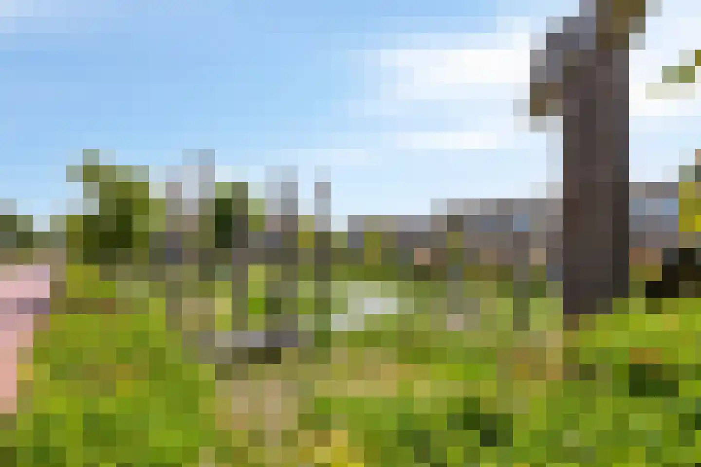 Vredelust 11 Diemen thumbnail 28
