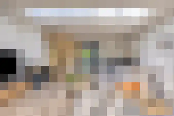 Vredemaker 22 Zwaag thumbnail 16