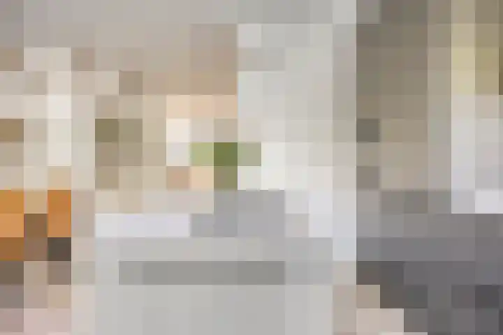 Vredemaker 22 Zwaag thumbnail 20