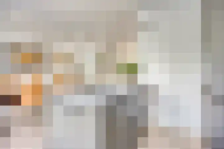 Vredemaker 22 Zwaag thumbnail 21