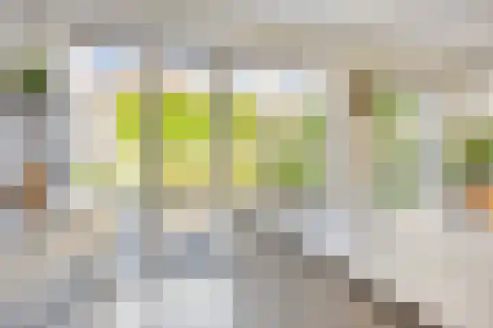 Vredemaker 22 Zwaag thumbnail 23