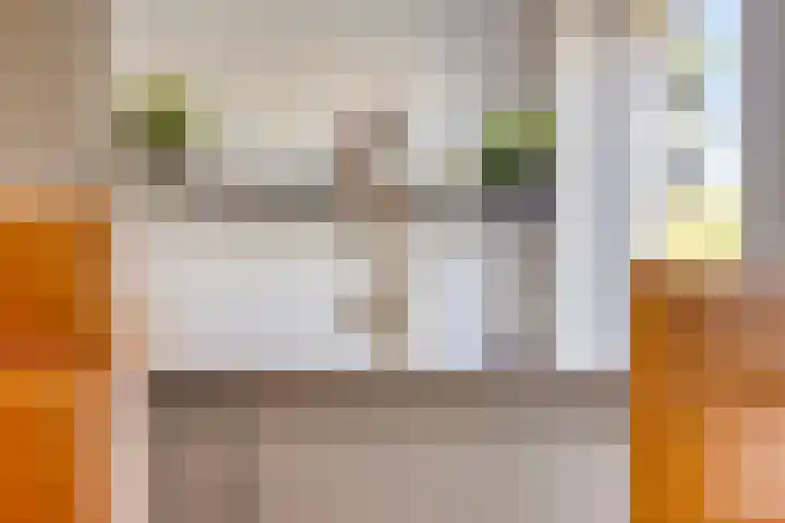 Vredemaker 22 Zwaag thumbnail 26