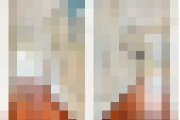 Vredemaker 22 Zwaag thumbnail 30