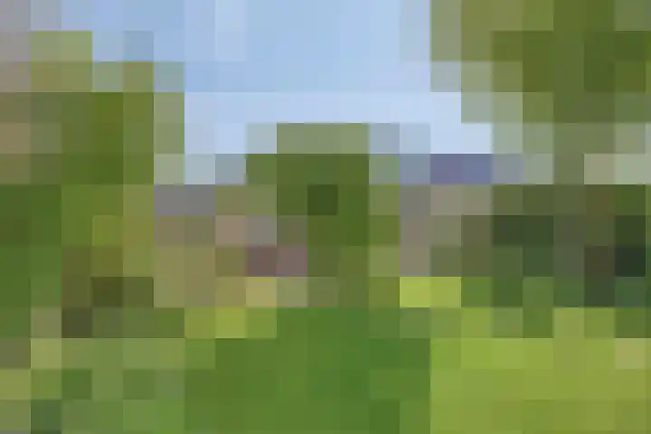 Vredemaker 22 Zwaag thumbnail 50