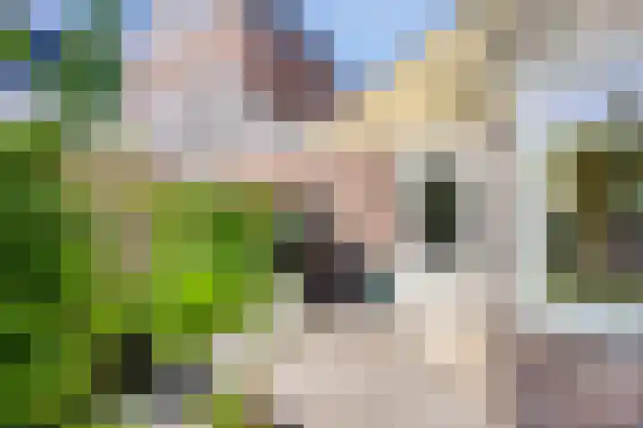 Vredemaker 22 Zwaag thumbnail 51