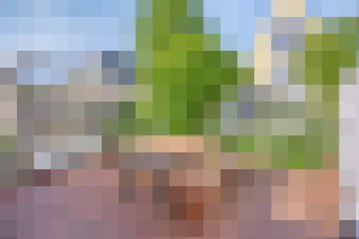 Vredemaker 22 Zwaag thumbnail 53