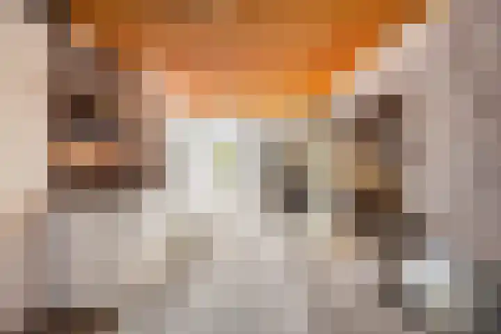 Vredemaker 22 Zwaag thumbnail 57