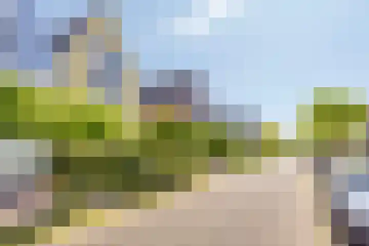 Vredemaker 22 Zwaag thumbnail 62