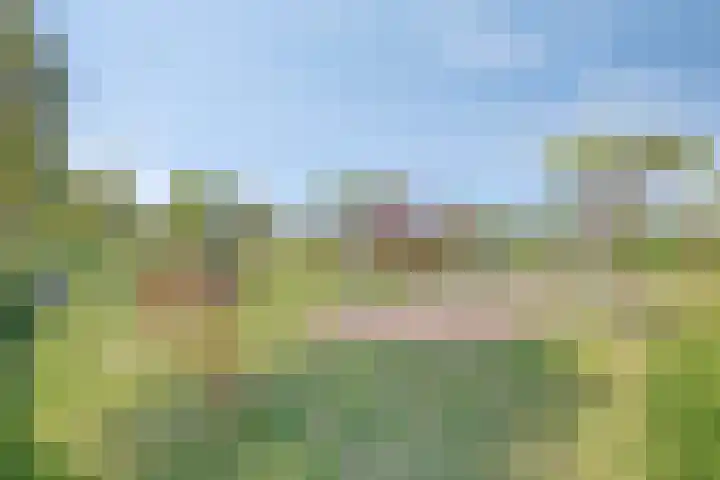 Vredemaker 22 Zwaag thumbnail 64