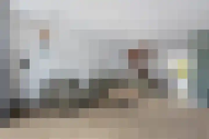 Vredemaker 28 Zwaag thumbnail 11
