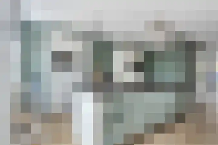 Vredemaker 28 Zwaag thumbnail 16