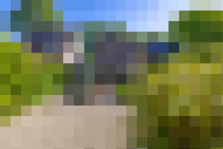 Vredemaker 28 Zwaag thumbnail 17