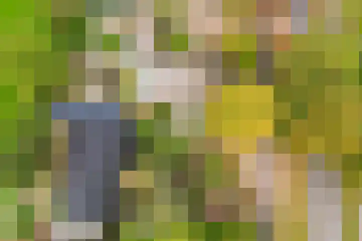 Vredemaker 28 Zwaag thumbnail 26