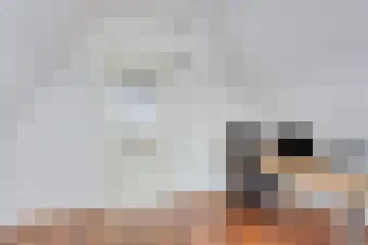 Vredemaker 28 Zwaag thumbnail 32