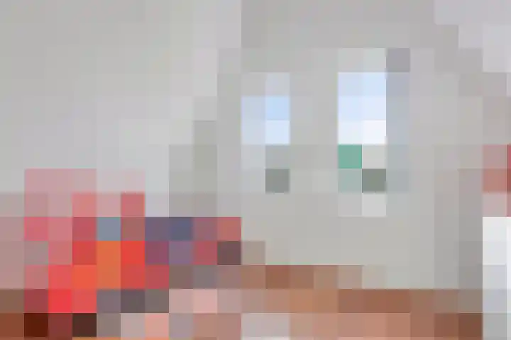 Vredemaker 28 Zwaag thumbnail 33