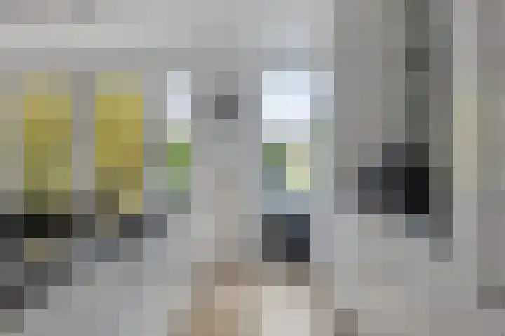 Vredemaker 28 Zwaag thumbnail 4