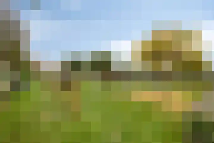 Vredemaker 28 Zwaag thumbnail 44