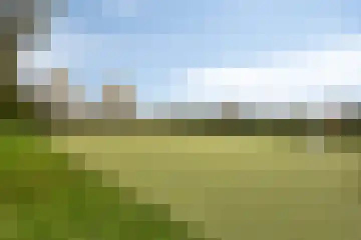 Vredemaker 28 Zwaag thumbnail 45