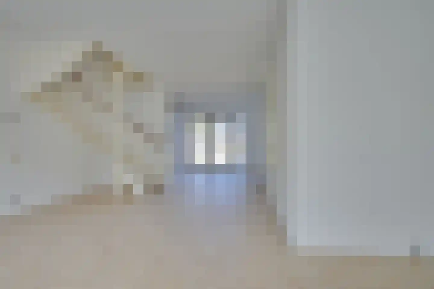 Vredemaker 9 Zwaag thumbnail 9