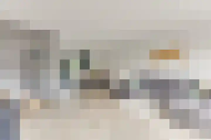 Vredemaker 97 Zwaag thumbnail 11