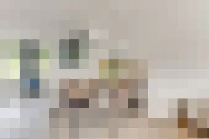 Vredemaker 97 Zwaag thumbnail 14