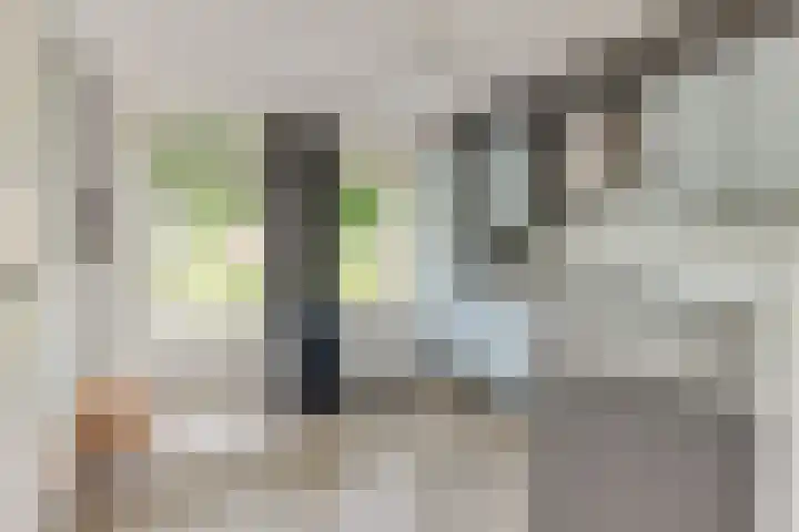 Vredemaker 97 Zwaag thumbnail 15