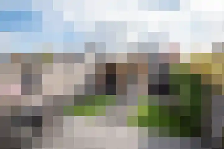 Vredemaker 97 Zwaag thumbnail 33