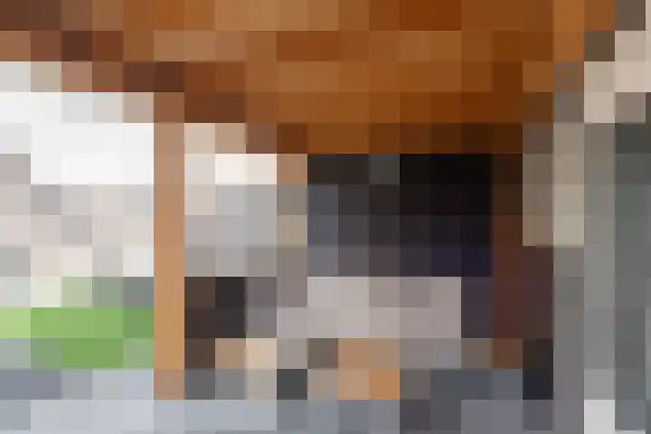 Vredemaker 97 Zwaag thumbnail 37
