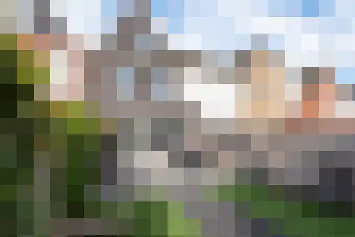 Vredemaker 97 Zwaag thumbnail 38