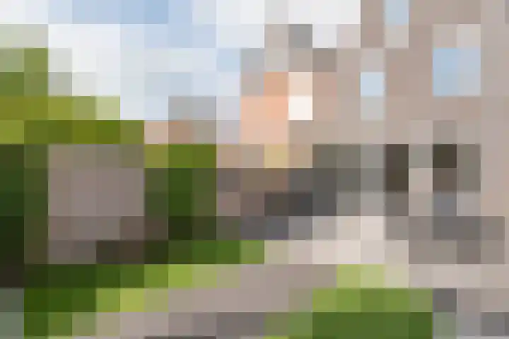 Vredemaker 97 Zwaag thumbnail 39