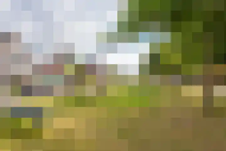 Vredemaker 97 Zwaag thumbnail 42