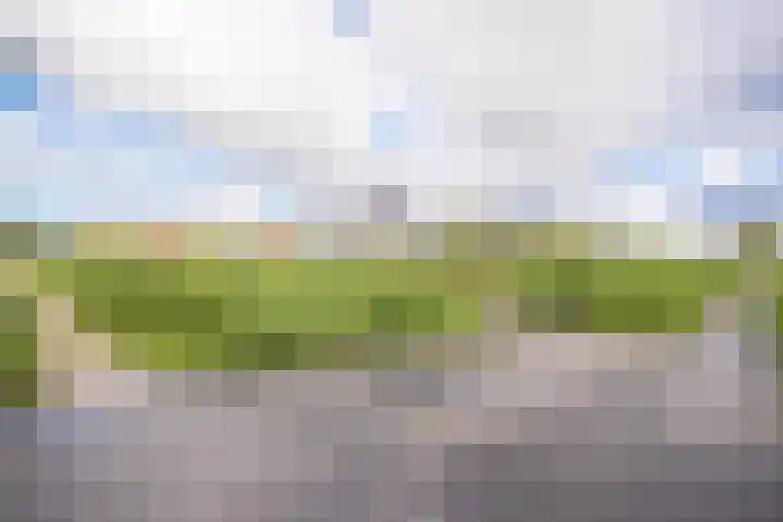 Vredemaker 97 Zwaag thumbnail 43