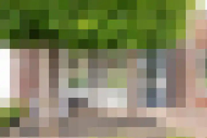 Vredemaker 97 Zwaag thumbnail 5