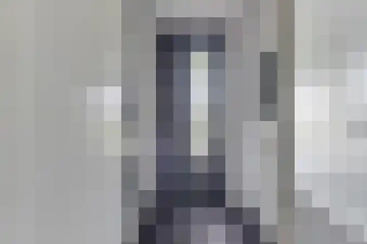 Vredemaker 97 Zwaag thumbnail 7