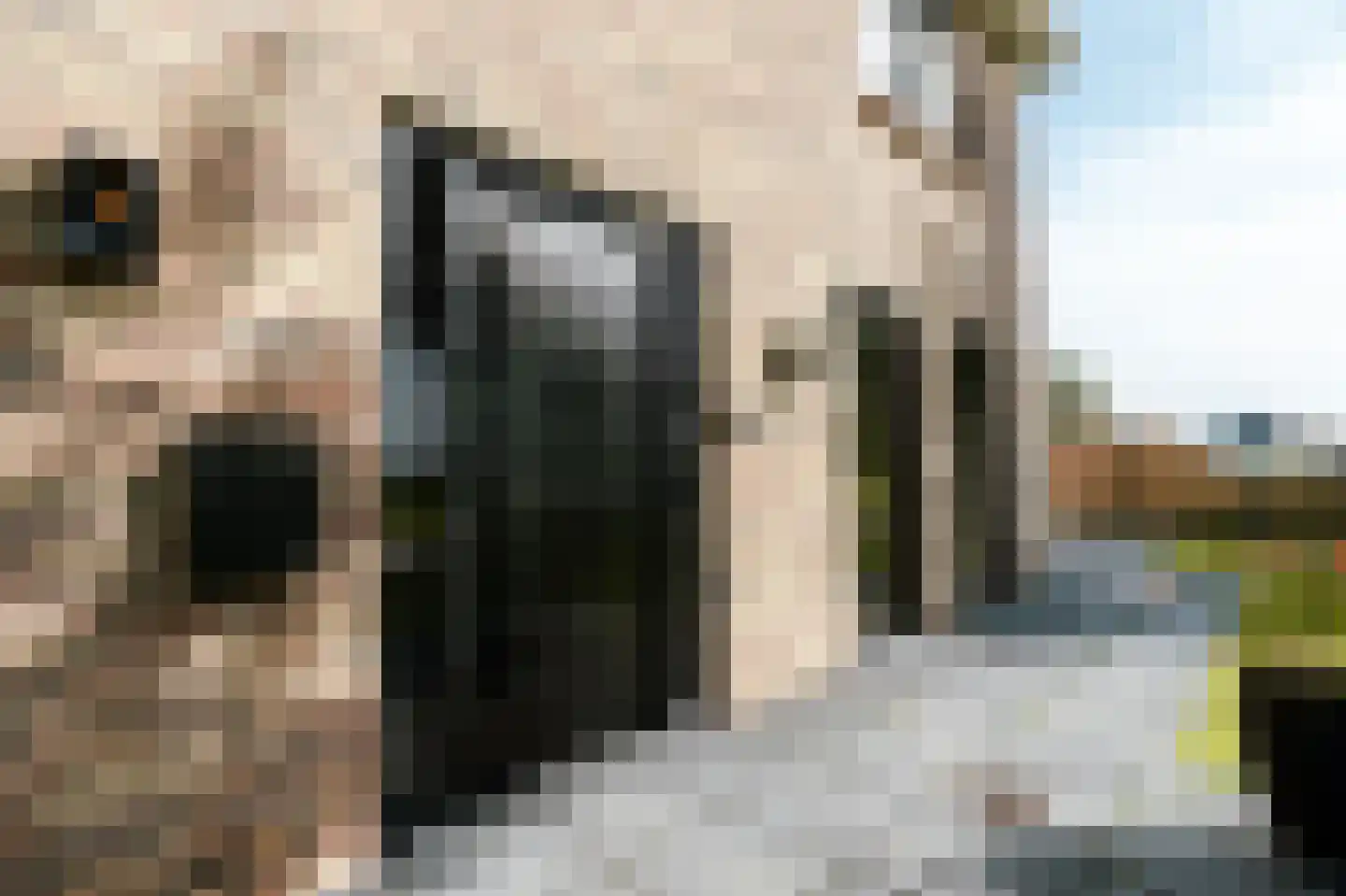 Vredeman de Vrieslaan 68 Almelo thumbnail 11