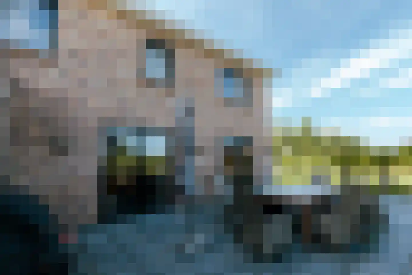 Vredeman de Vrieslaan 68 Almelo thumbnail 13
