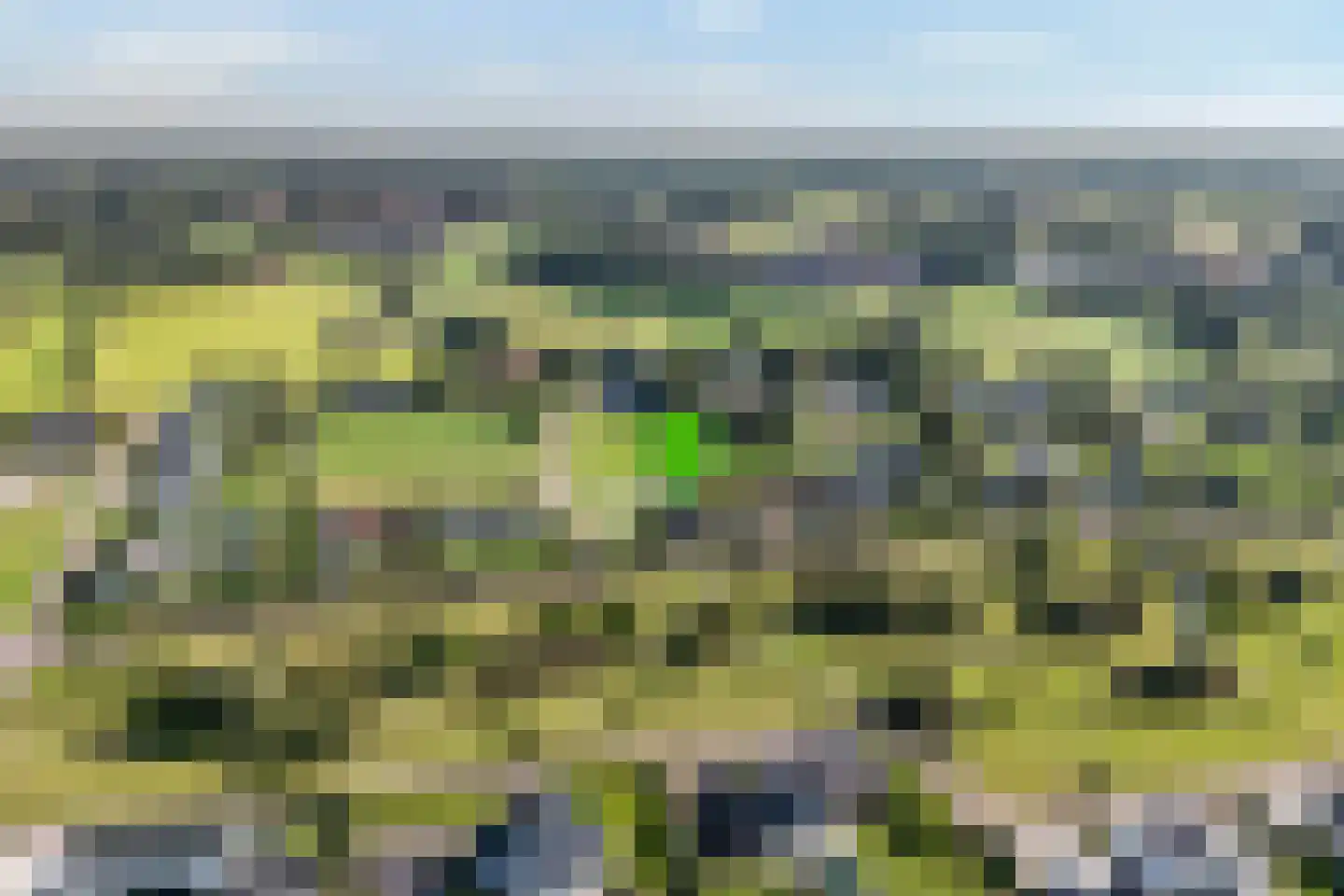 Vredeman de Vrieslaan 68 Almelo thumbnail 4