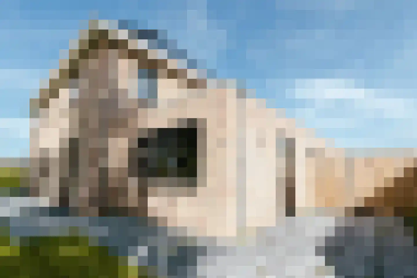 Vredeman de Vrieslaan 68 Almelo thumbnail 5