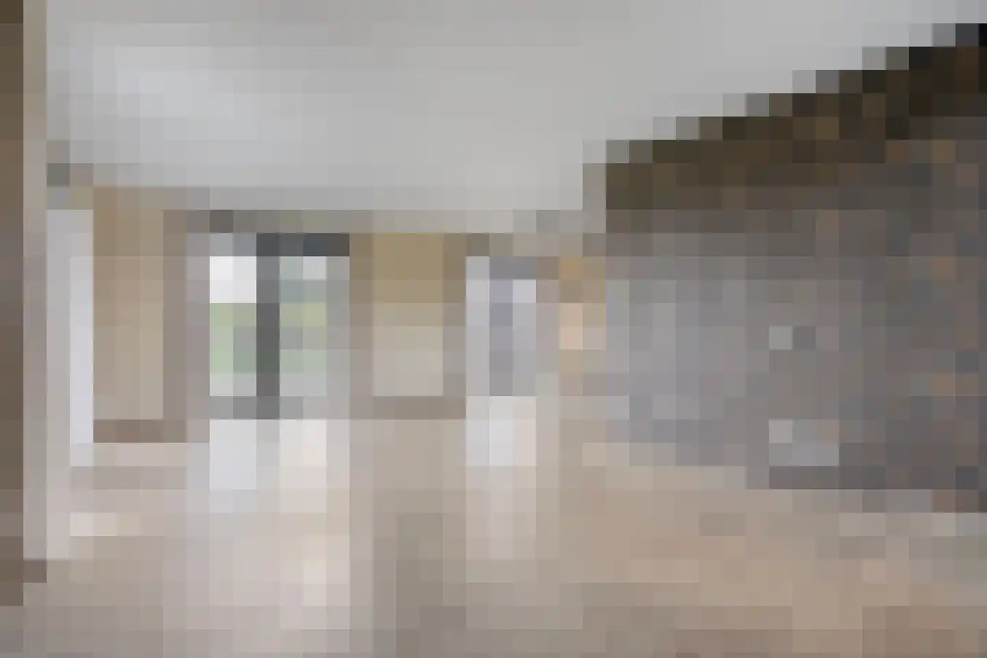 Vredeman de Vrieslaan 68 Almelo thumbnail 8