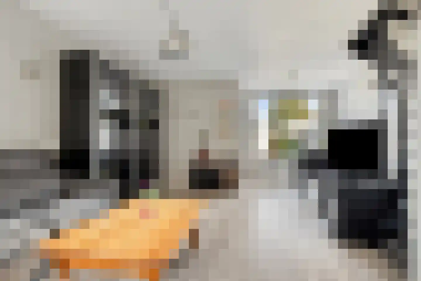 Vredeman de Vriesstraat 50 b Tilburg thumbnail 12