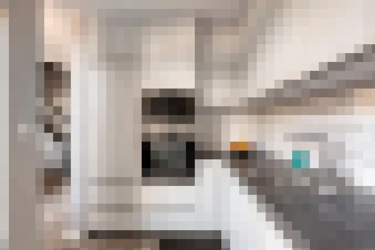 Vredeman de Vriesstraat 50 b Tilburg thumbnail 20