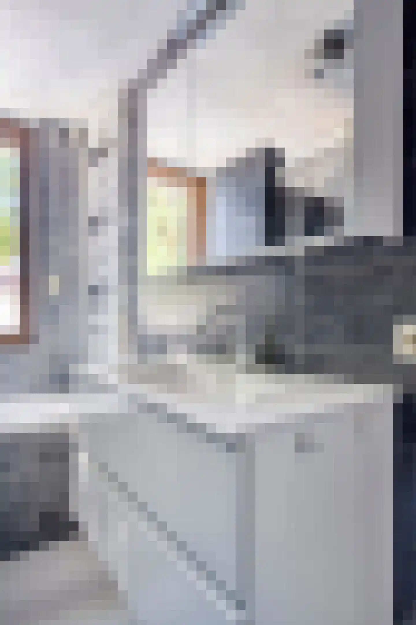 Vredeman de Vriesstraat 50 b Tilburg thumbnail 25